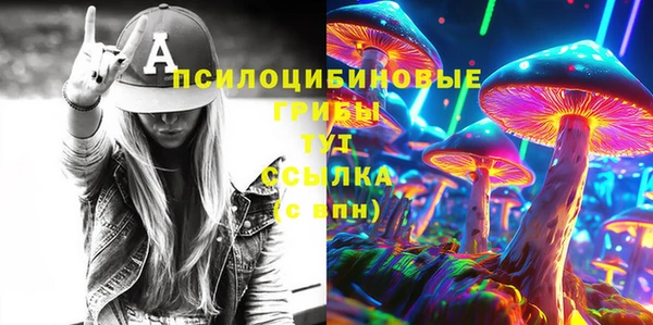 твердый Протвино
