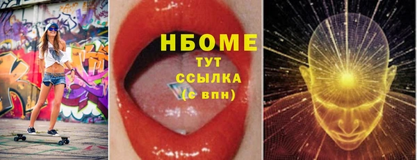 твердый Протвино