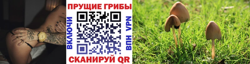 Галлюциногенные грибы Cubensis  Лянтор 